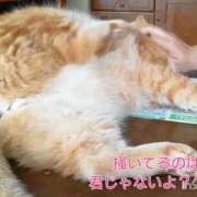 ヒメ日記 2026/08/01 12:03 投稿 いつき Hip's-group越谷本店