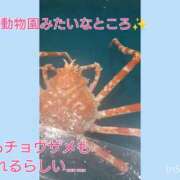 ヒメ日記 2026/08/03 16:02 投稿 いつき Hip's-group越谷本店