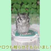 ヒメ日記 2026/08/11 14:34 投稿 いつき Hip's-group越谷本店
