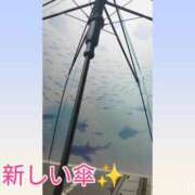 ヒメ日記 2026/09/15 11:02 投稿 いつき Hip's-group越谷本店