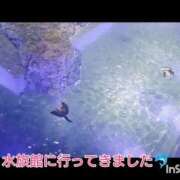 ヒメ日記 2026/09/26 10:12 投稿 いつき Hip's-group越谷本店