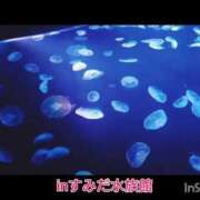 ヒメ日記 2026/09/28 12:03 投稿 いつき Hip's-group越谷本店