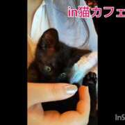 ヒメ日記 2026/10/07 16:22 投稿 いつき Hip's-group越谷本店