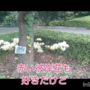 ヒメ日記 2026/10/11 14:02 投稿 いつき Hip's-group越谷本店
