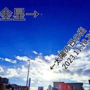 ヒメ日記 2023/11/18 11:25 投稿 しのぶ 桃李（とうり）