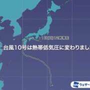 ヒメ日記 2024/09/01 15:54 投稿 しのぶ 桃李（とうり）