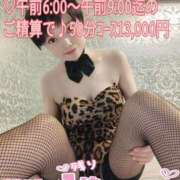 ヒメ日記 2025/01/24 06:34 投稿 しのぶ 桃李（とうり）