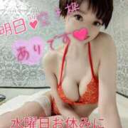 ヒメ日記 2025/02/17 19:44 投稿 しのぶ 桃李（とうり）