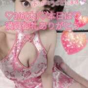 ヒメ日記 2025/03/06 11:24 投稿 しのぶ 桃李（とうり）