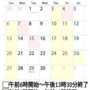 ヒメ日記 2025/04/04 15:24 投稿 しのぶ 桃李（とうり）