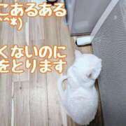 ヒメ日記 2025/04/06 09:23 投稿 しのぶ 桃李（とうり）