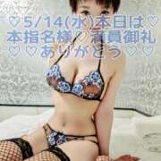 ヒメ日記 2025/05/14 15:24 投稿 しのぶ 桃李（とうり）