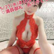 ヒメ日記 2025/05/21 15:04 投稿 しのぶ 桃李（とうり）