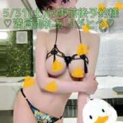 ヒメ日記 2025/06/10 11:35 投稿 しのぶ 桃李（とうり）