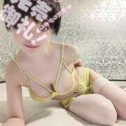 ヒメ日記 2025/06/14 05:34 投稿 しのぶ 桃李（とうり）