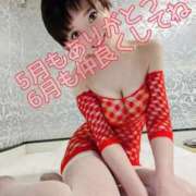 ヒメ日記 2025/06/18 12:05 投稿 しのぶ 桃李（とうり）