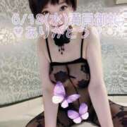 ヒメ日記 2025/06/27 16:10 投稿 しのぶ 桃李（とうり）