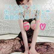 ヒメ日記 2025/06/27 16:27 投稿 しのぶ 桃李（とうり）