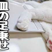 ヒメ日記 2025/07/09 19:24 投稿 しのぶ 桃李（とうり）