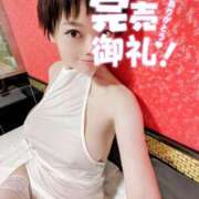 ヒメ日記 2025/08/09 03:11 投稿 しのぶ 桃李（とうり）