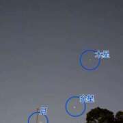 ヒメ日記 2025/08/23 11:54 投稿 しのぶ 桃李（とうり）