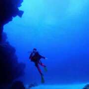 ヒメ日記 2025/08/24 05:04 投稿 しのぶ 桃李（とうり）