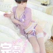 ヒメ日記 2025/08/27 09:14 投稿 しのぶ 桃李（とうり）