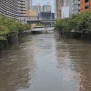 ヒメ日記 2025/09/11 16:24 投稿 しのぶ 桃李（とうり）