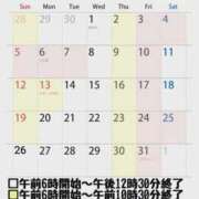 ヒメ日記 2025/10/06 10:14 投稿 しのぶ 桃李（とうり）