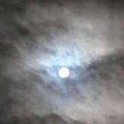 ヒメ日記 2025/10/08 12:53 投稿 しのぶ 桃李（とうり）