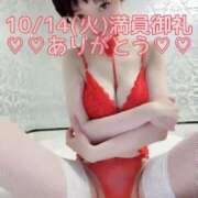 ヒメ日記 2025/10/20 15:16 投稿 しのぶ 桃李（とうり）