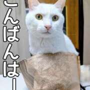 ヒメ日記 2025/11/05 17:44 投稿 しのぶ 桃李（とうり）