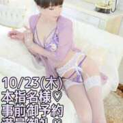 ヒメ日記 2025/11/10 14:44 投稿 しのぶ 桃李（とうり）