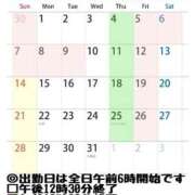 ヒメ日記 2025/11/17 17:34 投稿 しのぶ 桃李（とうり）