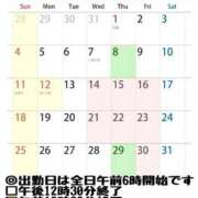 ヒメ日記 2025/11/17 17:35 投稿 しのぶ 桃李（とうり）