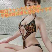 ヒメ日記 2025/11/25 12:55 投稿 しのぶ 桃李（とうり）