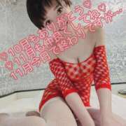 ヒメ日記 2025/11/30 16:04 投稿 しのぶ 桃李（とうり）