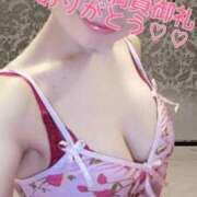 ヒメ日記 2025/12/23 13:40 投稿 しのぶ 桃李（とうり）