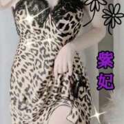 ヒメ日記 2024/12/14 21:34 投稿 紫妃（しき） ファーストレディ(博多)