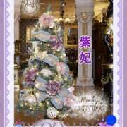 ヒメ日記 2024/12/17 20:33 投稿 紫妃（しき） ファーストレディ(博多)