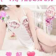 ヒメ日記 2025/01/10 02:20 投稿 紫妃（しき） ファーストレディ(博多)