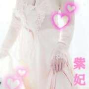 ヒメ日記 2025/02/02 21:45 投稿 紫妃（しき） ファーストレディ(博多)