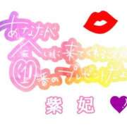 ヒメ日記 2025/03/16 15:24 投稿 紫妃（しき） ファーストレディ(博多)