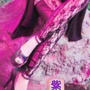 ヒメ日記 2025/06/12 17:04 投稿 紫妃（しき） ファーストレディ(博多)