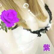 ヒメ日記 2025/09/13 20:04 投稿 紫妃（しき） ファーストレディ(博多)