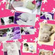 ヒメ日記 2025/10/25 14:23 投稿 紫妃（しき） ファーストレディ(博多)