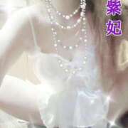 ヒメ日記 2025/10/26 00:44 投稿 紫妃（しき） ファーストレディ(博多)