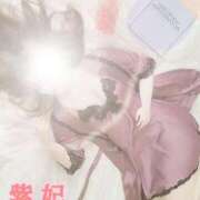 ヒメ日記 2025/11/08 02:03 投稿 紫妃（しき） ファーストレディ(博多)