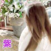 ヒメ日記 2026/02/01 17:45 投稿 紫妃（しき） ファーストレディ(博多)