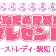 ヒメ日記 2026/02/14 22:45 投稿 紫妃（しき） ファーストレディ(博多)